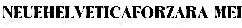 NeueHelveticaforZara Medium字体转换
